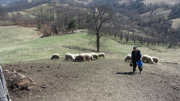 Тихују у сећању на дечју грају